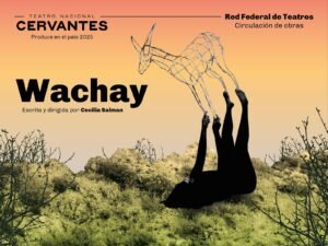 San Luis. Presentación de ‘Wachay’ en la Universidad Nacional de San Luis