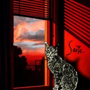 Serte publica su nuevo material «Contra, de»
